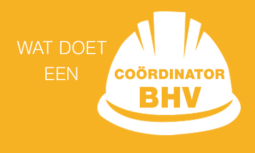 Wat doet een cordinator BHV?