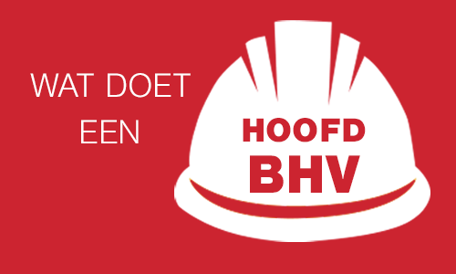 Wat doet een Hoofd BHV?